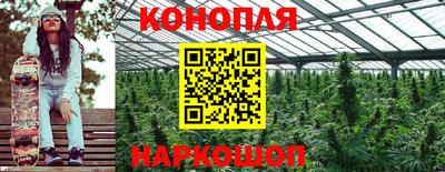 спиды Аргун