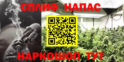 спиды Аргун