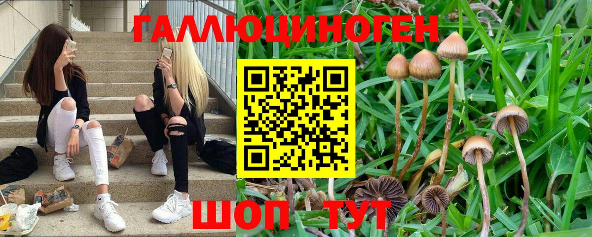 Галлюциногенные грибы мухоморы  Вход с VPN  Борзя 